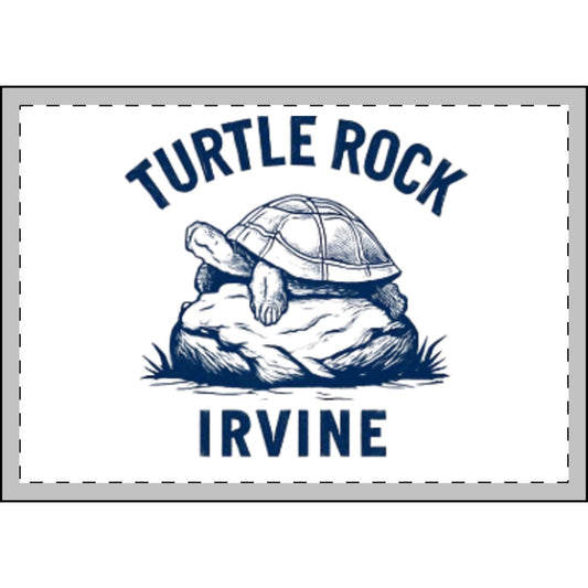 Plush Turtle Rock Blanket