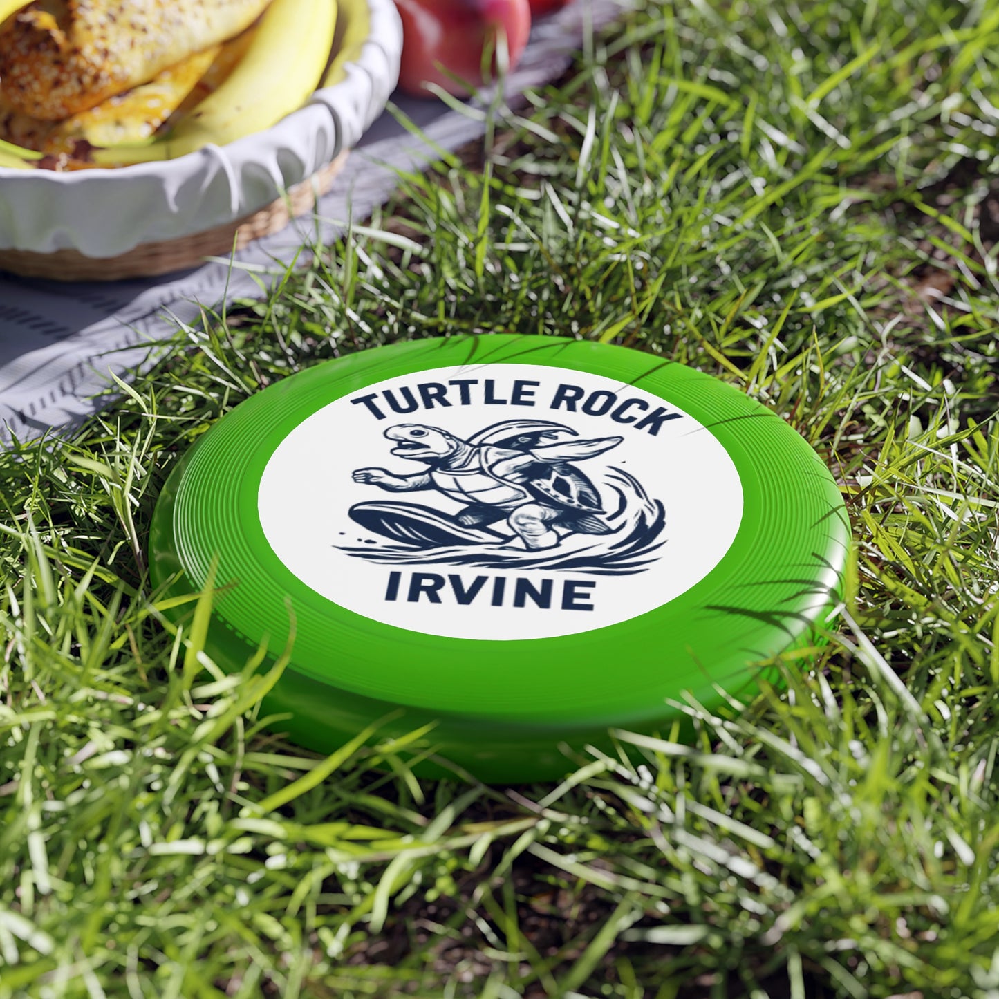 Turtle Rock Frisbee
