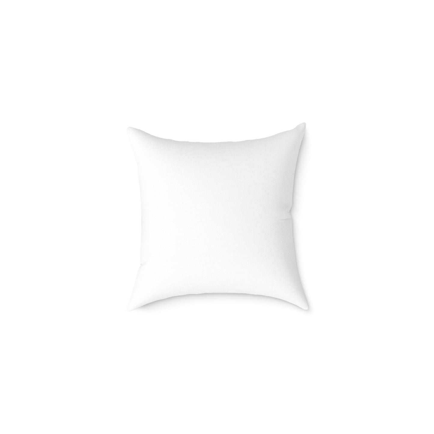 Turtle Rock Decorative Pillow