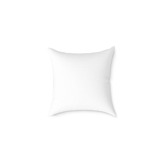 Turtle Rock Decorative Pillow