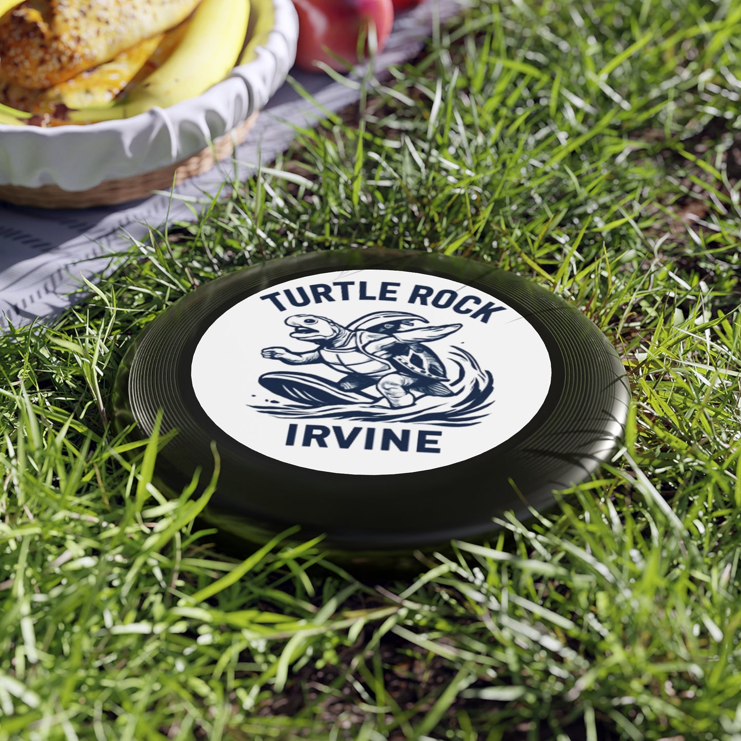 Turtle Rock Frisbee