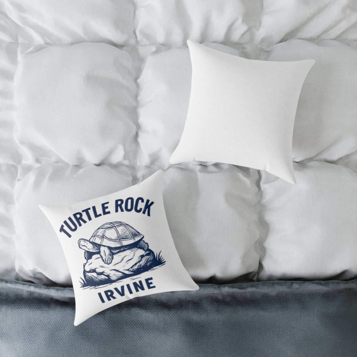 Turtle Rock Decorative Pillow