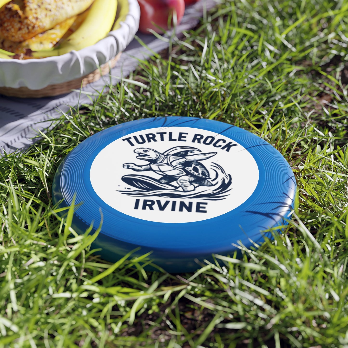 Turtle Rock Frisbee