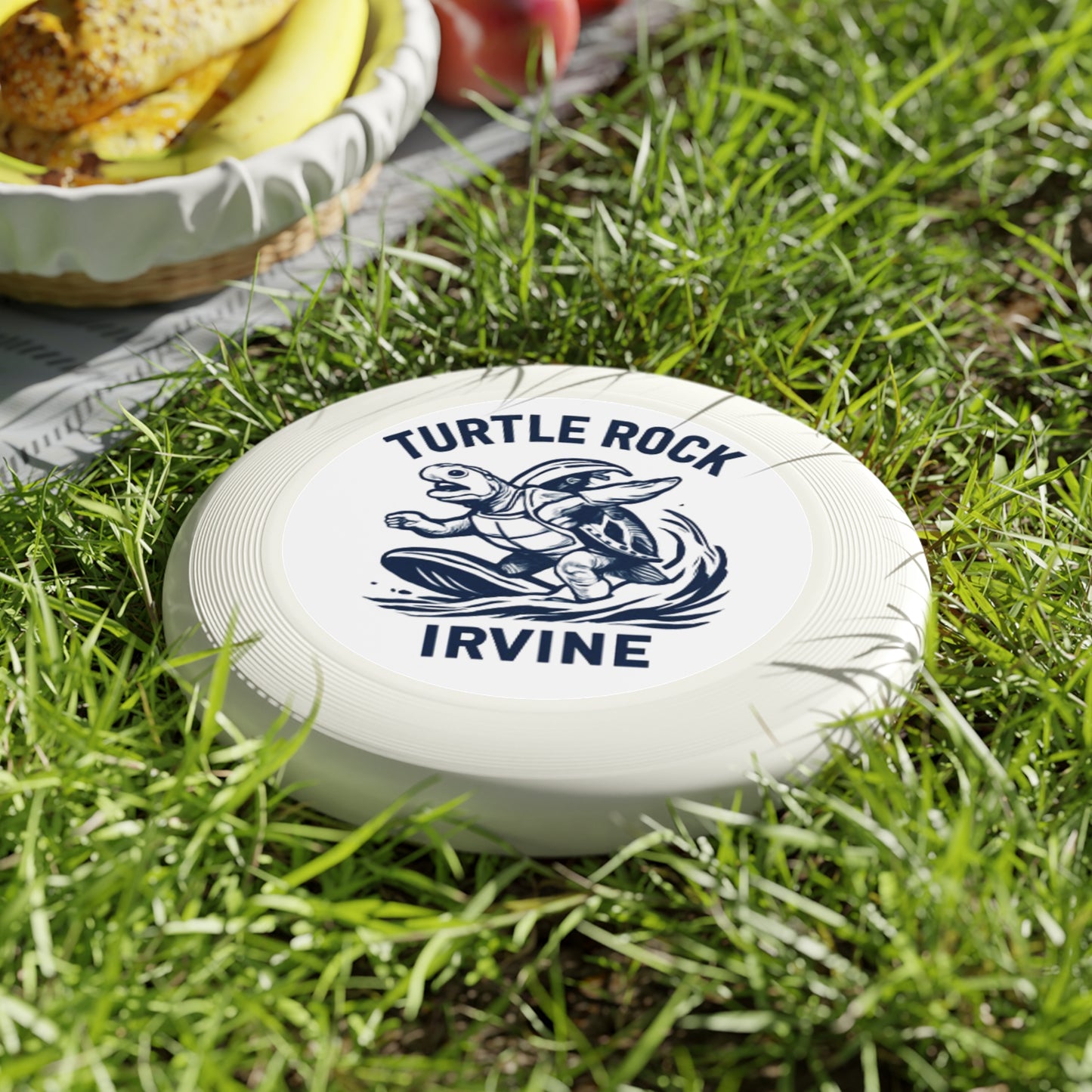 Turtle Rock Frisbee