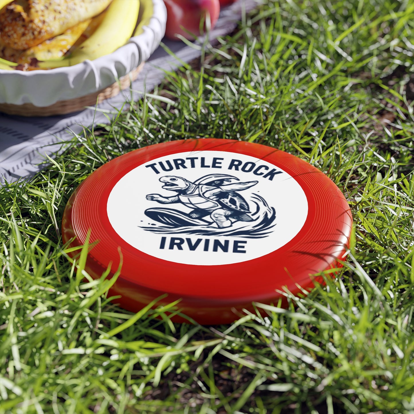 Turtle Rock Frisbee